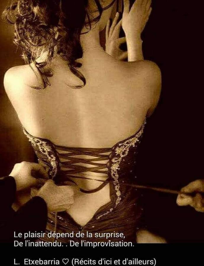 La Duchesse - Loveroom Moonlove Place Stanislas Nancy Exterior foto